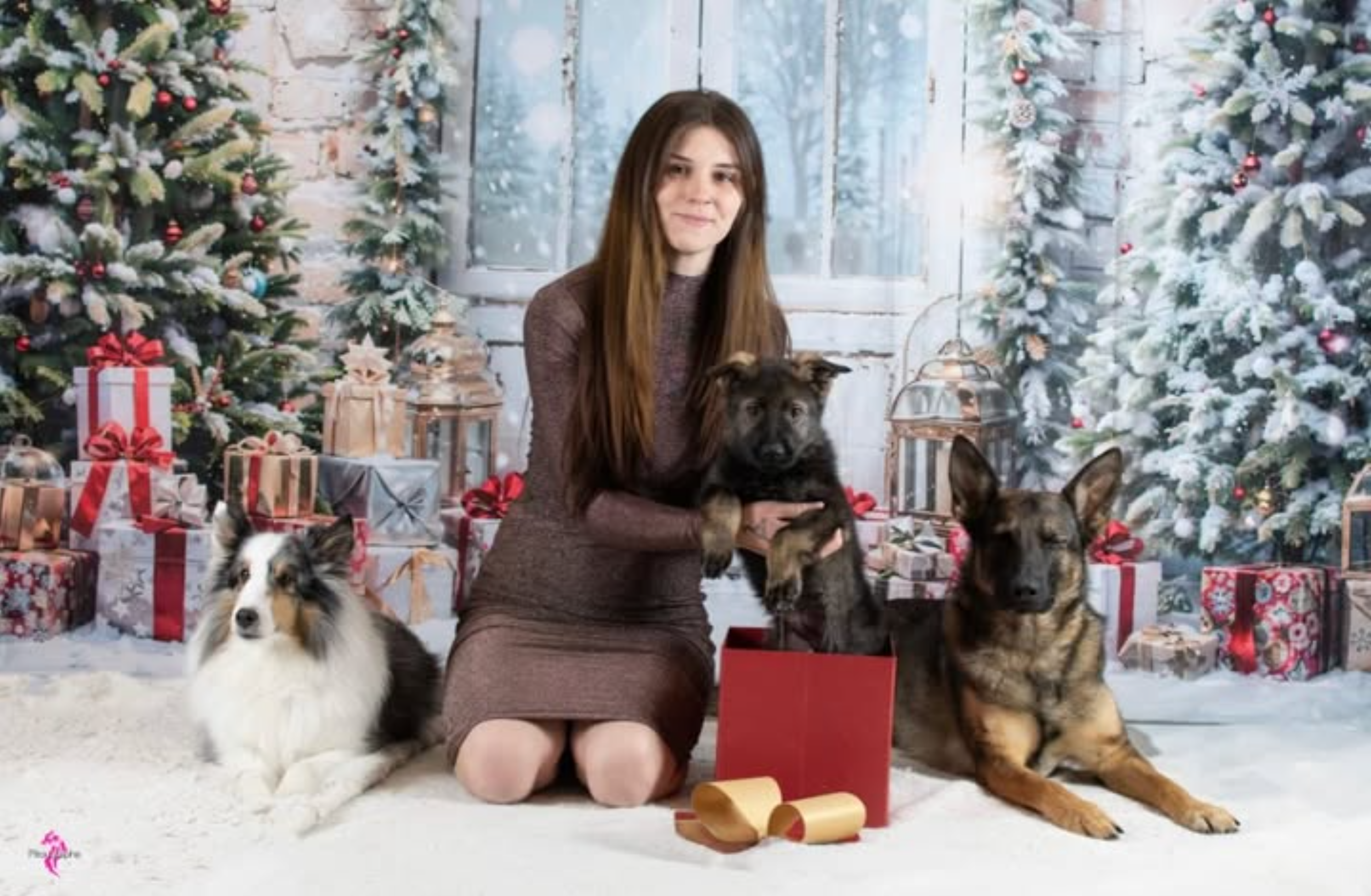 Samanta Tangay avec ses chiens